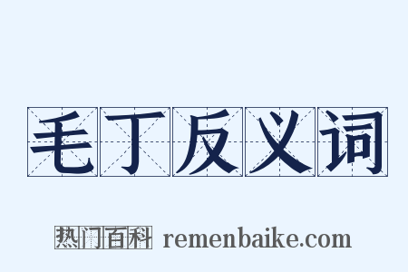 毛丁反义词是什么意思的图片